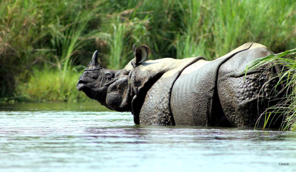 Nepal CHITWAN